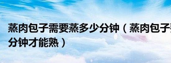 蒸肉包子需要蒸多少分钟（蒸肉包子要蒸多少分钟才能熟）