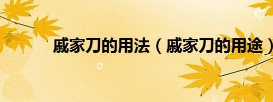 戚家刀的用法（戚家刀的用途）