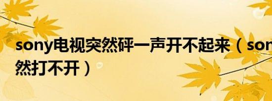 sony电视突然砰一声开不起来（sony电视突然打不开）