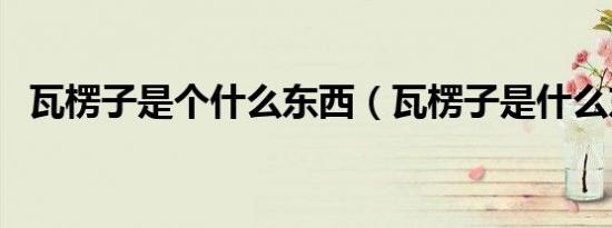 瓦楞子是个什么东西（瓦楞子是什么东西）