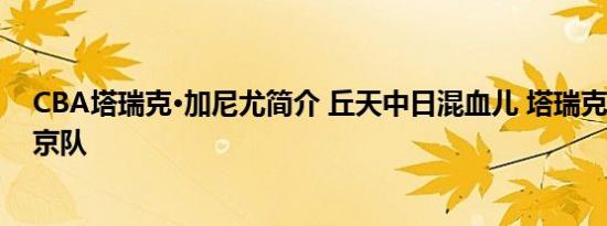 CBA塔瑞克·加尼尤简介 丘天中日混血儿 塔瑞克·加尼尤北京队