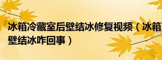 冰箱冷藏室后壁结冰修复视频（冰箱冷藏室后壁结冰咋回事）