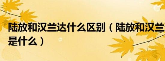 陆放和汉兰达什么区别（陆放和汉兰达的区别是什么）