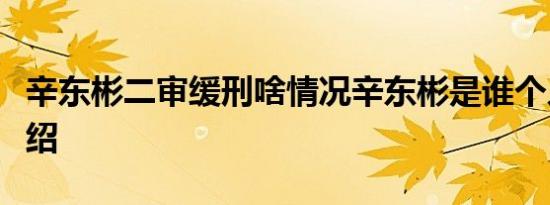 辛东彬二审缓刑啥情况辛东彬是谁个人资料介绍