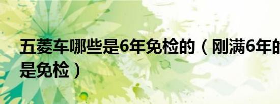 五菱车哪些是6年免检的（刚满6年的车是不是免检）