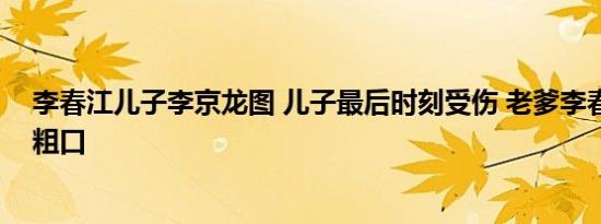 李春江儿子李京龙图 儿子最后时刻受伤 老爹李春江无奈爆粗口