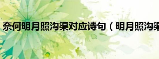 奈何明月照沟渠对应诗句（明月照沟渠诗句）