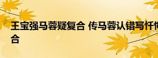 王宝强马蓉疑复合 传马蓉认错写忏悔书想复合
