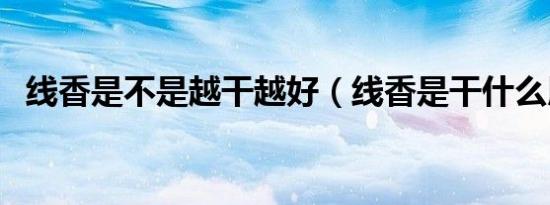 线香是不是越干越好（线香是干什么用的）