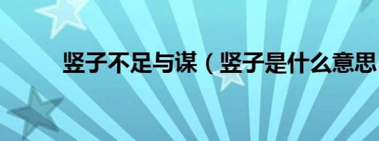 竖子不足与谋（竖子是什么意思）