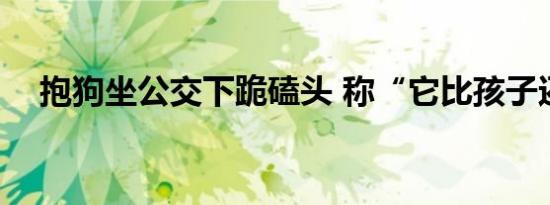 抱狗坐公交下跪磕头 称“它比孩子还好”
