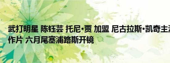 武打明星 陈钰芸 托尼·贾 加盟 尼古拉斯•凯奇主演的科幻动作片 六月尾塞浦路斯开镜