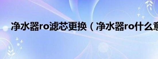 净水器ro滤芯更换（净水器ro什么意思）