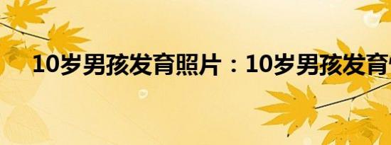 10岁男孩发育照片：10岁男孩发育情况