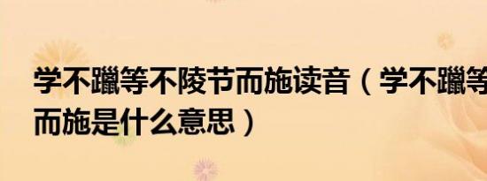 学不躐等不陵节而施读音（学不躐等 不陵节而施是什么意思）