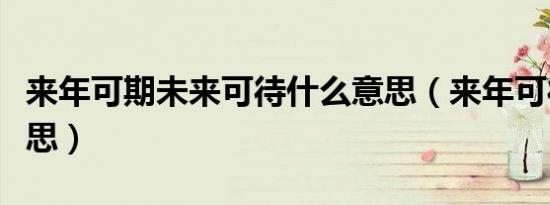 来年可期未来可待什么意思（来年可待什么意思）