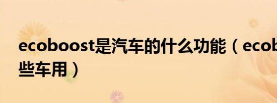 ecoboost是汽车的什么功能（ecoboost哪些车用）