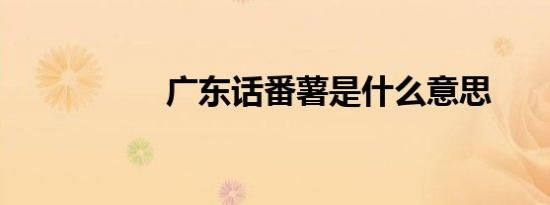 广东话番薯是什么意思
