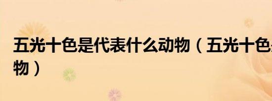 五光十色是代表什么动物（五光十色是什么动物）