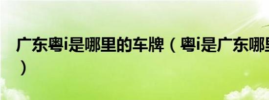 广东粤i是哪里的车牌（粤i是广东哪里的车牌）