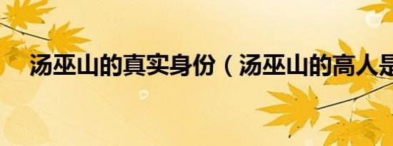 汤巫山的真实身份（汤巫山的高人是谁）