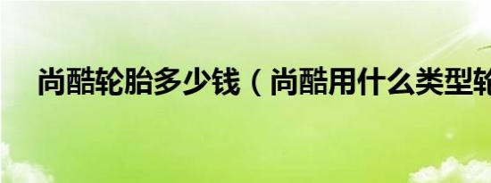 尚酷轮胎多少钱（尚酷用什么类型轮胎）