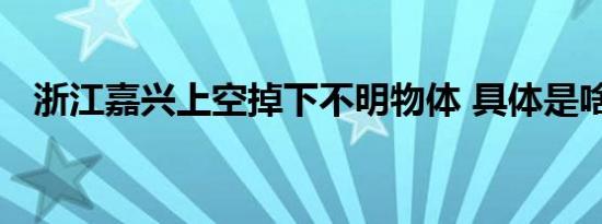 浙江嘉兴上空掉下不明物体 具体是啥情况