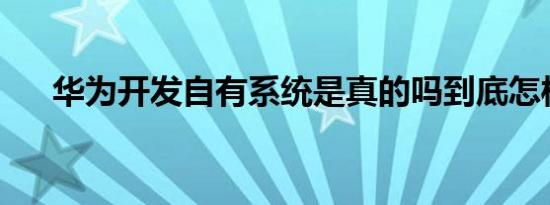 华为开发自有系统是真的吗到底怎样的
