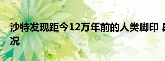 沙特发现距今12万年前的人类脚印 具体啥情况