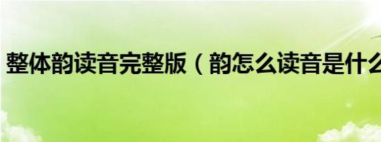 整体韵读音完整版（韵怎么读音是什么意思）