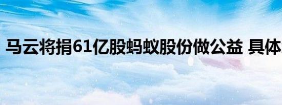 马云将捐61亿股蚂蚁股份做公益 具体怎样的