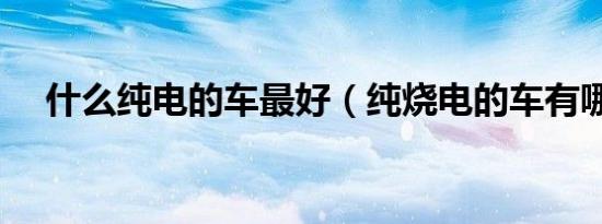 什么纯电的车最好（纯烧电的车有哪些）