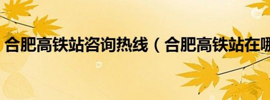 合肥高铁站咨询热线（合肥高铁站在哪个区）