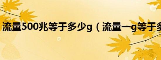 流量500兆等于多少g（流量一g等于多少兆）