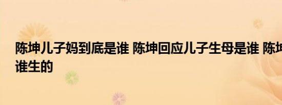 陈坤儿子妈到底是谁 陈坤回应儿子生母是谁 陈坤的儿子是谁生的