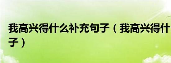 我高兴得什么补充句子（我高兴得什么补充句子）
