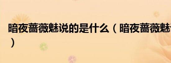 暗夜蔷薇魅说的是什么（暗夜蔷薇魅讲的是啥）