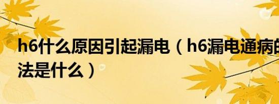 h6什么原因引起漏电（h6漏电通病的解决方法是什么）