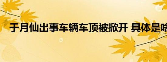 于月仙出事车辆车顶被掀开 具体是啥情况
