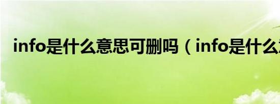 info是什么意思可删吗（info是什么意思）