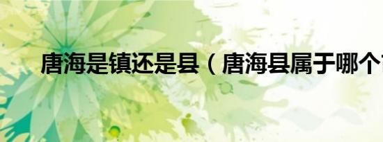 唐海是镇还是县（唐海县属于哪个市）