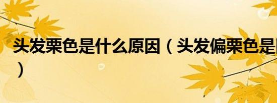 头发栗色是什么原因（头发偏栗色是因为什么）