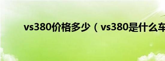 vs380价格多少（vs380是什么车）