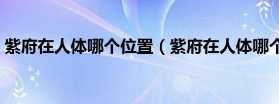 紫府在人体哪个位置（紫府在人体哪个部位）
