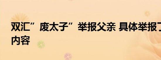 双汇”废太子”举报父亲 具体举报了些什么内容