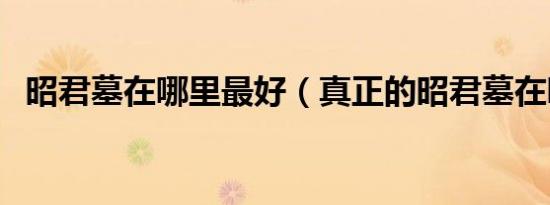 昭君墓在哪里最好（真正的昭君墓在哪里）