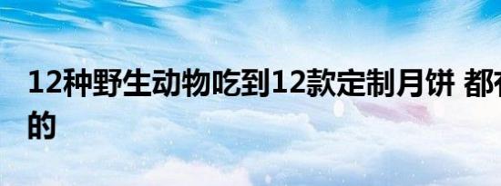 12种野生动物吃到12款定制月饼 都有什么样的