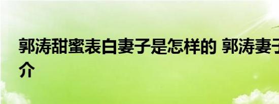 郭涛甜蜜表白妻子是怎样的 郭涛妻子李燃简介