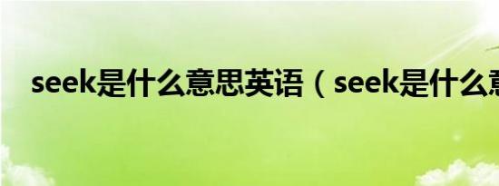seek是什么意思英语（seek是什么意思）