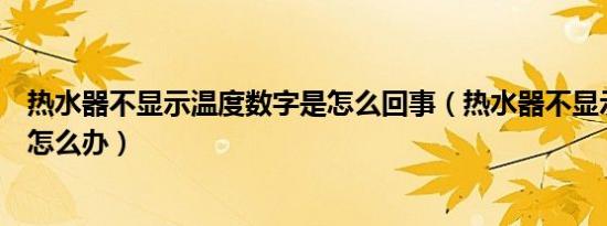 热水器不显示温度数字是怎么回事（热水器不显示温度数字怎么办）
